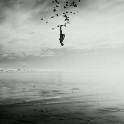 乐鱼官网app下载截图