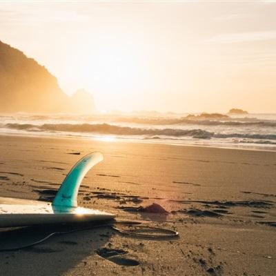 天天中彩票手机版登录