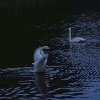 NG体育APP官方下载网址手机app下载截图