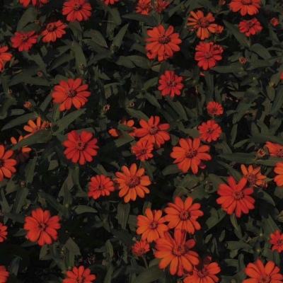 888电玩城游戏厅截图