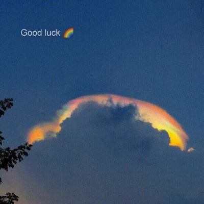 大发彩票app手机app下载