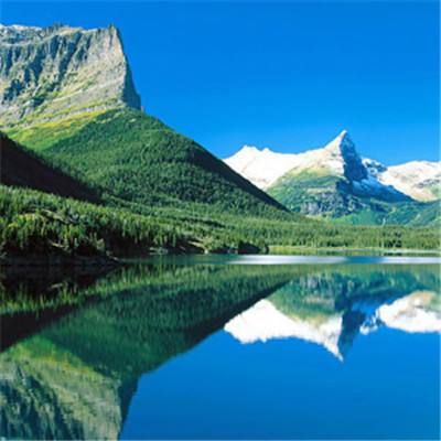 im电竞平台app下载